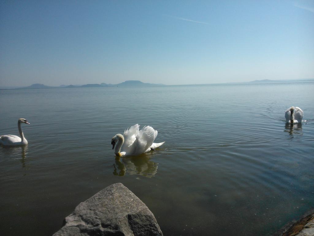 Angéla Ház Apartman Balatonberény Szoba fotó